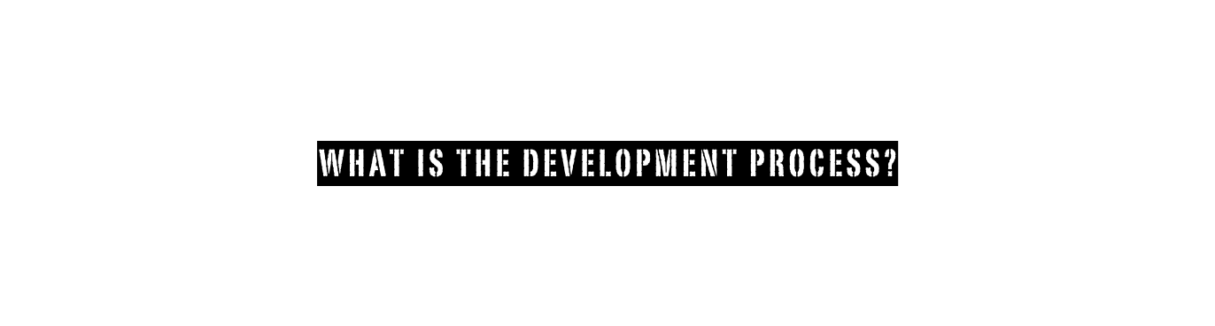 What is the development process